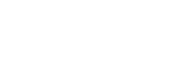 Logo Born to tell stories